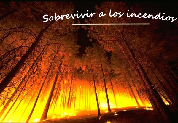 SOBREVIVIR A LOS INCENDIOS's header image